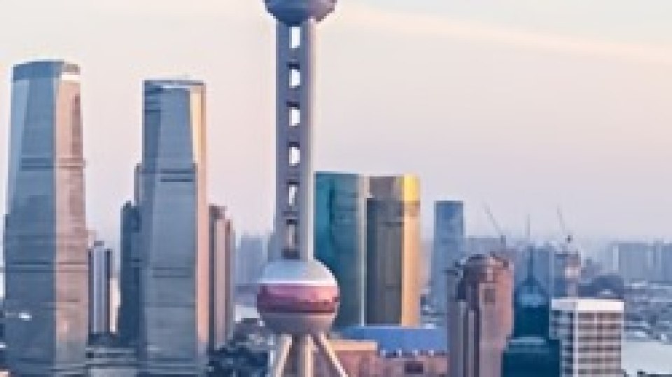 上海展