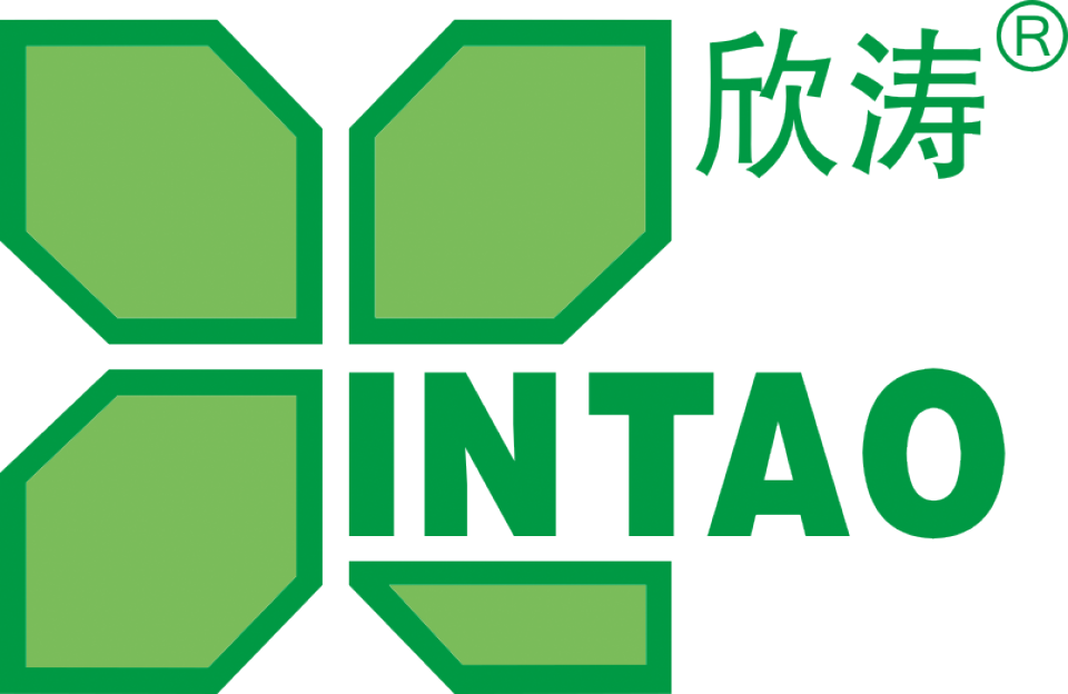 首页