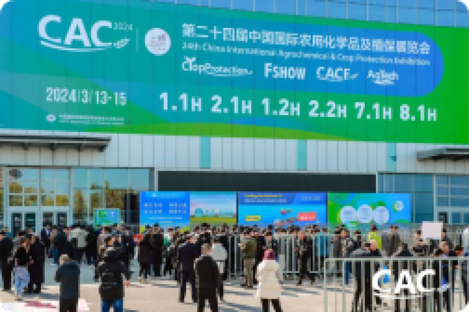 CAC Homepage - Cloned