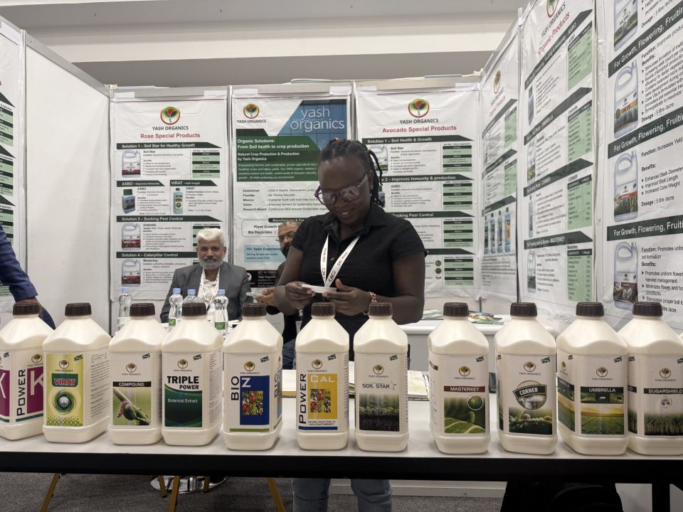 CAC Africa