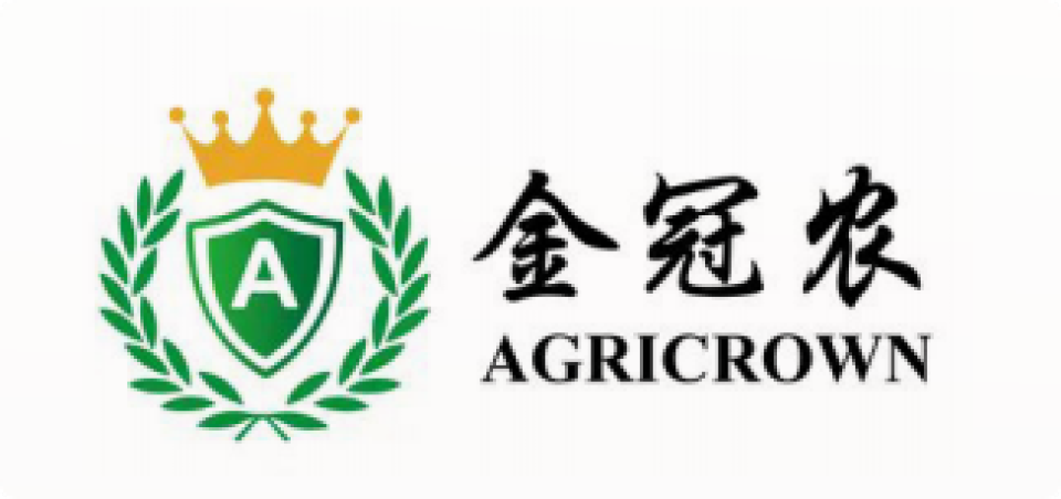 CAC Africa