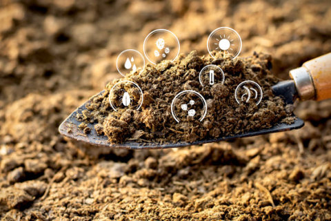 Top 15 Biologicals Insights: Markets, Technology, and Growth Opportunities