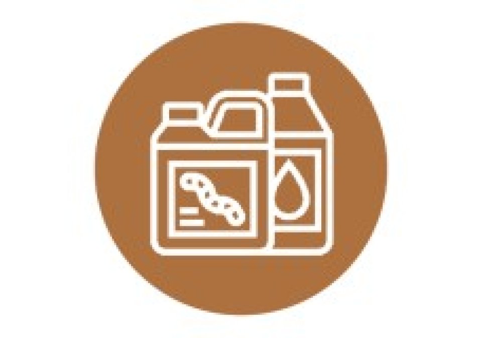 CACE首页