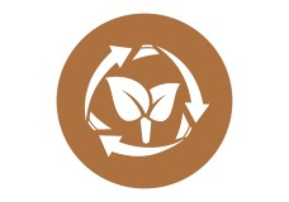 CACE首页